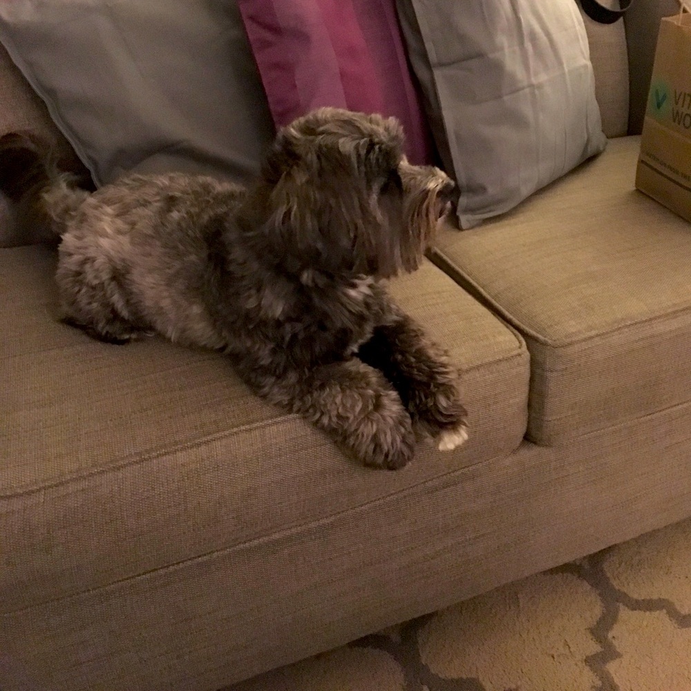 Meet your Posher, Killsee